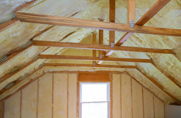 Best Cellulose Insulation  in Rockwell Place, TX
